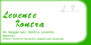 levente kontra business card